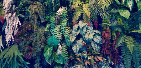 Fern, red flower and green leaves background. Plant growth or nature wallpaper in vintage tone. Ornamental tree for decoration. Beautiful natural conceptの写真素材