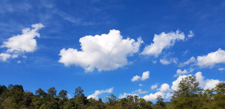 à¸ºBeautiful blue sky with white cloud and green tree, forest or jungle with cop space on above for add text. Beauty of nature and Natural wallpaper. Freshness air and cloudscape vieの写真素材