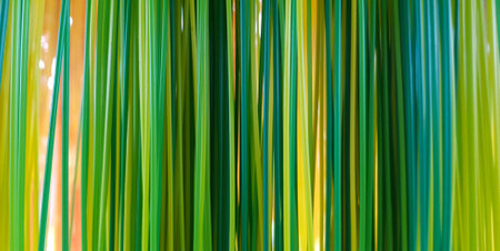 Green and yellow pattern of ribbon or rubber for background. Art abstract of line.