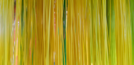 Yellow and green pattern of ribbon or rubber for background. Art abstract of line wall or wallpaper.の写真素材