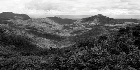 Beautiful landscape view of mountain. Forest or jungle with mountain heel and cloud sky in black and white style. Beauty of nature and Natural wallpaper in monochrome tone.の写真素材