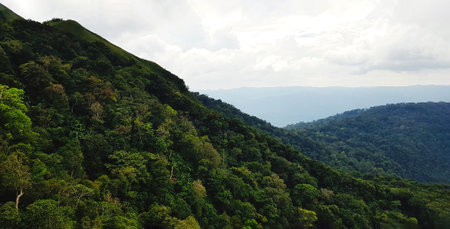 Beautiful green mountain with sky background. Nature wallpaper and Beauty of nature. Forest or jungle growth on the hill. Ecology and good environment.の写真素材