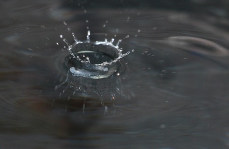 water dropsの写真素材