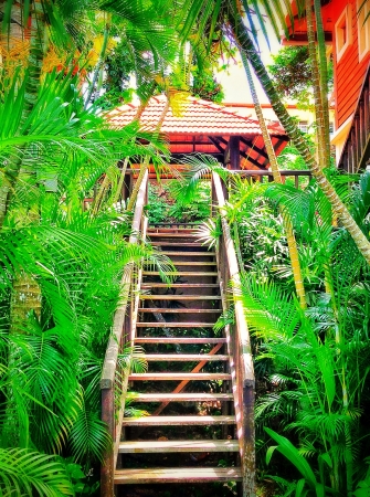 Jungle house の素材