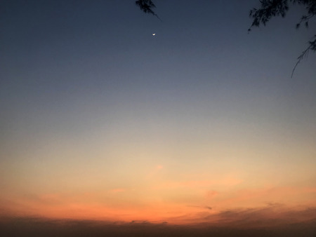 ocean, waves, palms, sunsets palms Cambodiaの写真素材