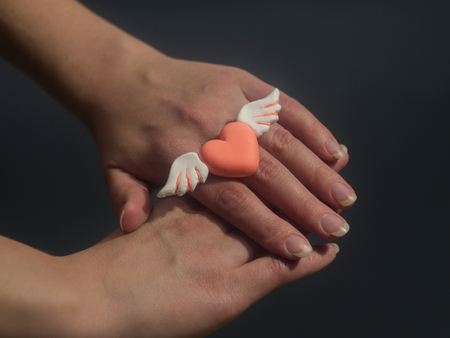 Pink heart with white wings in the handsの写真素材