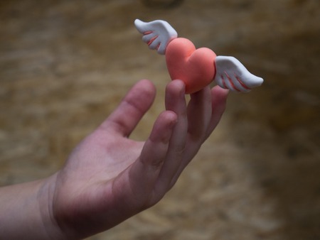 Pink heart with white wings in the handsの写真素材