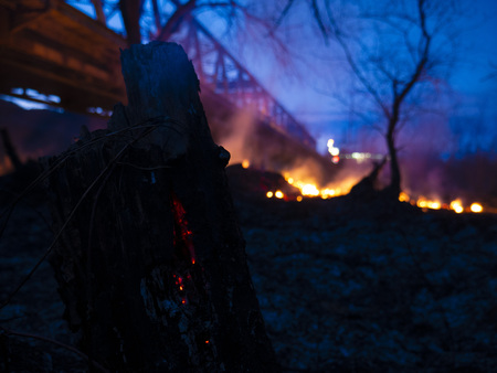 fire. wildfire, burning pine forest in the smoke and flames. Eveningの写真素材