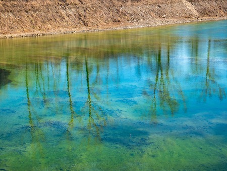 Mirror reflection of trees and clouds in the river with algae floating on the surfaceの写真素材