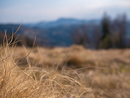 fog and cloud mountain valley landscape, Ukraineの写真素材