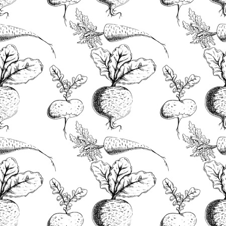Vegetable pattern: carrots, beets, radishesのイラスト素材
