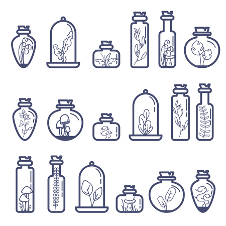 Set of different terrarium bottles with grass and mushrooms vector illustrationのイラスト素材