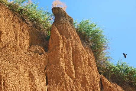 Multiple cracking of weathered soil with bushes on topの写真素材