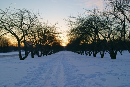 A path in a snow in winter park at sunsetの写真素材
