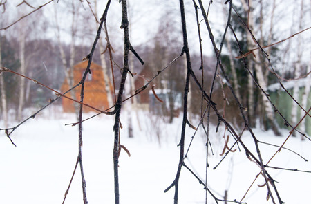 Wooden houses in the forest behind the tree in winterの写真素材