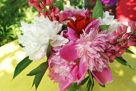 Bunch of various flowers on yellow table in the gardenの写真素材