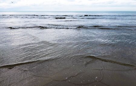 Cold winter Black sea water from sand beachの写真素材