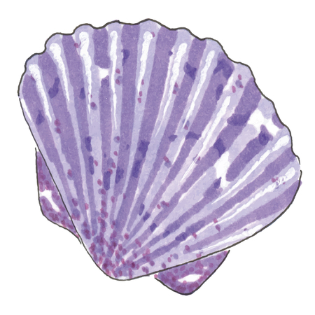 Violet sea shell
