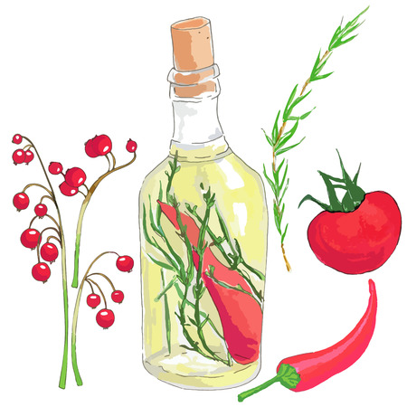 Set of red vegetables, olive oil and berries: viburnum on a branch, a bottle with green olive oil, chili peppers, herbs and spices, tomato, red chili pepperのイラスト素材