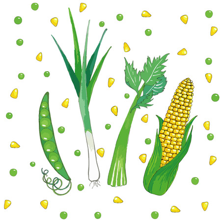 Set of vegetables: ripe green peas, green onions, leeks, celery green juicy, ripe yellow cornのイラスト素材