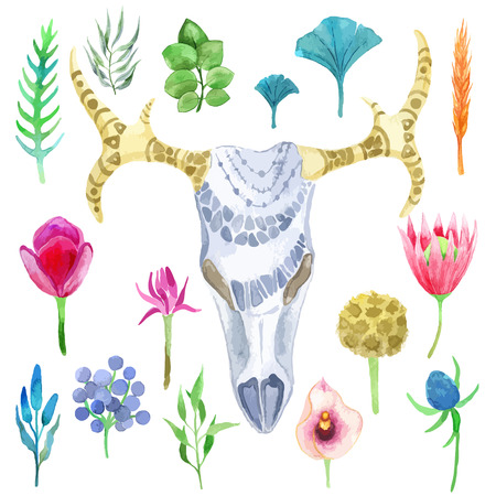 Vector watercolor set of flowers, leaves and plants in vintage boho style. Skull of deer or bull.のイラスト素材