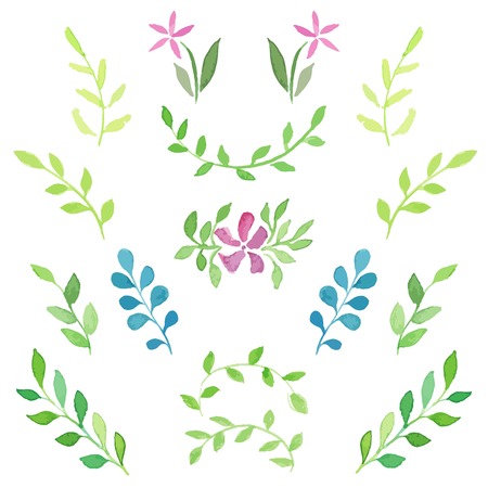 Set of watercolor young green branches/sprigs with leaves and flowers. For invitations, cards, text, logo ornamentation. Spring / summer young fresh plants.のイラスト素材