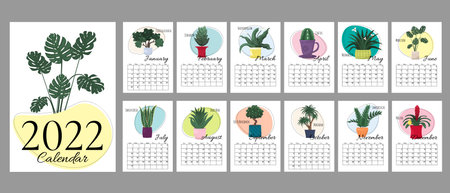 White A4 vertical calendar 2022 with trendy hand draw home plants and color spots. Cover and 12 monthly pages. Week starts on Sunday, A3 A2 A6 formats.のイラスト素材