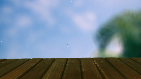 blur background image of tree and sky with empty wooden floor, for montage and displayの写真素材