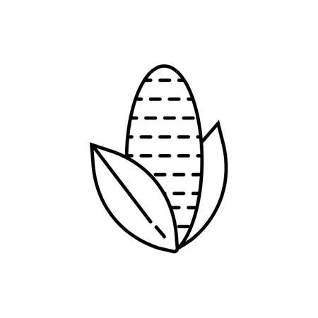 corn icon element of vegetables icon for mobile concept and web apps. Thin line corn icon can be used for web and mobile. Premium icon on white background.のイラスト素材