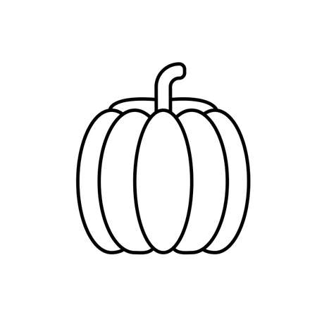 pumpkin icon element of vegetables icon for mobile concept and web apps. Thin line pumpkin icon can be used for web and mobile. Premium icon on white background.のイラスト素材
