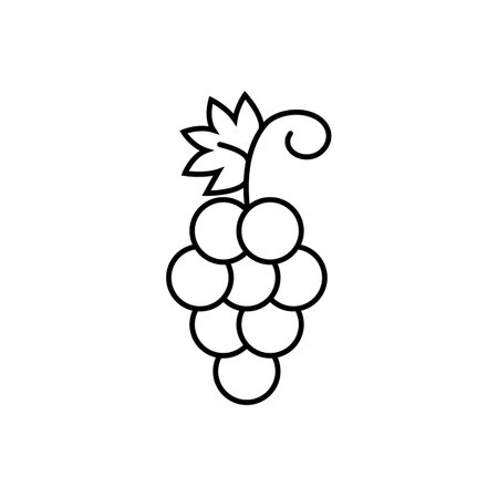 bunch of grape icon element of fruit icon for mobile concept and web apps. Thin line bunch of grape icon can be used for web and mobile. Premium icon on white background.のイラスト素材