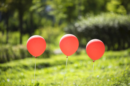 beautiful sunny day  red balloons in the forest,の写真素材