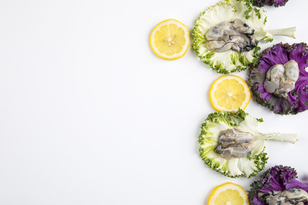 decoration of oysters with rose kales and lemons.の写真素材