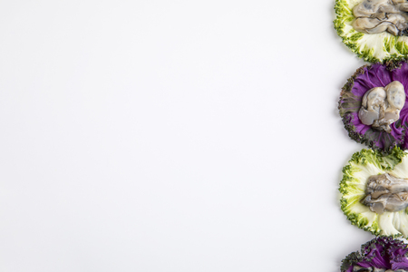 oysters on rose kales. space for text.の写真素材