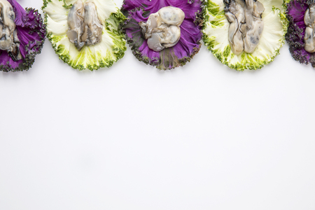 oysters on rose kales.の写真素材