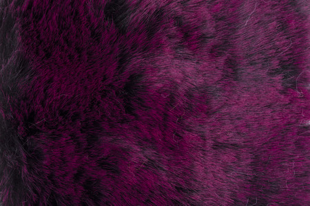 black and purple fur texture.の写真素材