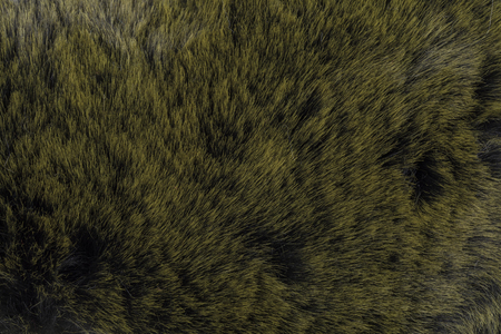 soft green colored fur texture.