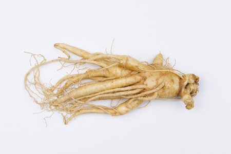 Fresh red ginseng on white background.の写真素材
