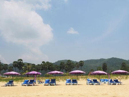 Row of umbrellas and sunbeds at a tropical beachの写真素材