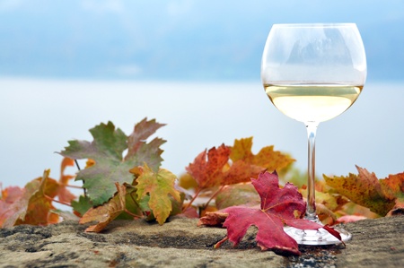 Glass of white *wine and autumn leaves against Geneva lake, Switzerlandの写真素材