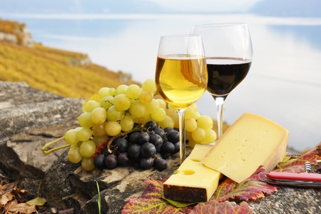 Two wineglasses, cheese and grapes on the terrace of vineyard in Lavaux region, Switzerlandの写真素材