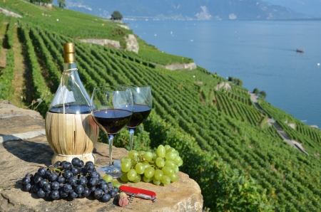 Red wine and grapes on the terrace of vineyard in Lavaux region, Switzerlandの写真素材