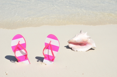 Flip-flops and a conch on the beachの写真素材