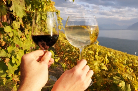Two hands holding wineglasses against vineyards in Lavaux region, Switzerland の写真素材