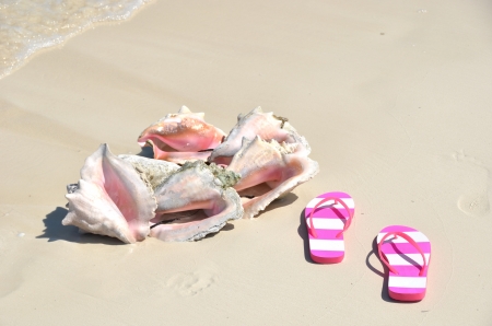 Sea shell and flip-flops on the sandy beach の写真素材