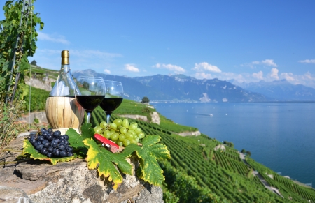 Red wine on the terrace vineyard in Lavaux region, Switzerland の写真素材