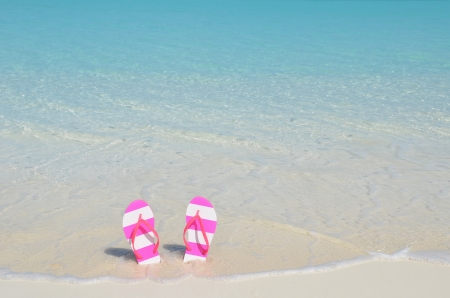 Flip-flop on the beachの写真素材