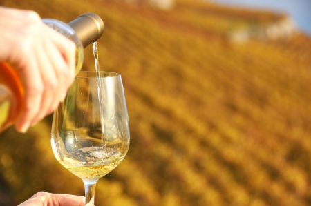 Glass of wine in the hand against vineyards in Lavaux region, Switzerlandの写真素材