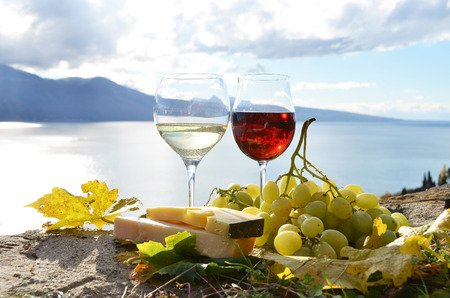 Wine and grapes. Lavaux, Switzerlandの写真素材