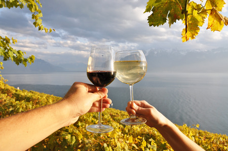 Two hands holding wineglases against vineyards in Lavaux region, Switzerlandの写真素材